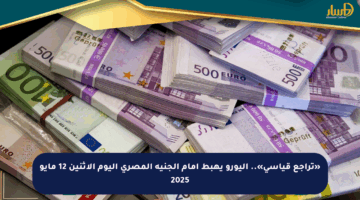 «تراجع قياسي».. اليورو يهبط أمام الجنيه المصري اليوم الإثنين 12 مايو 2025